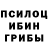 Псилоцибиновые грибы GOLDEN TEACHER Kaydan Caffrey