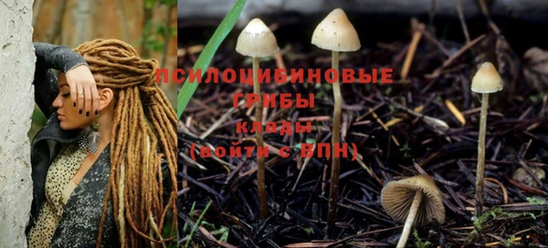 apvp Нефтекумск