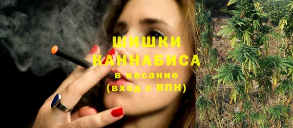 прущая мука Алзамай